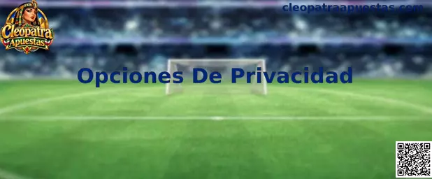 Opciones de privacidad y control de datos personales en juegos en línea