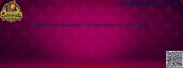 Certificado De Seguridad Y La Legitimidad De La URL Oficial