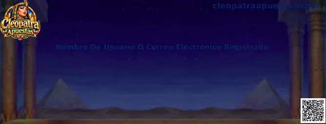 Guía para identificar el nombre de usuario o correo electrónico registrado