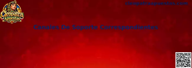 Canales De Soporte Correspondientes
